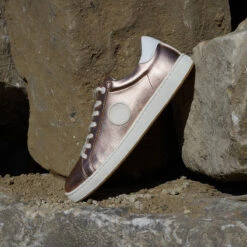 Pataugas -Pataugas F Aster M Rose